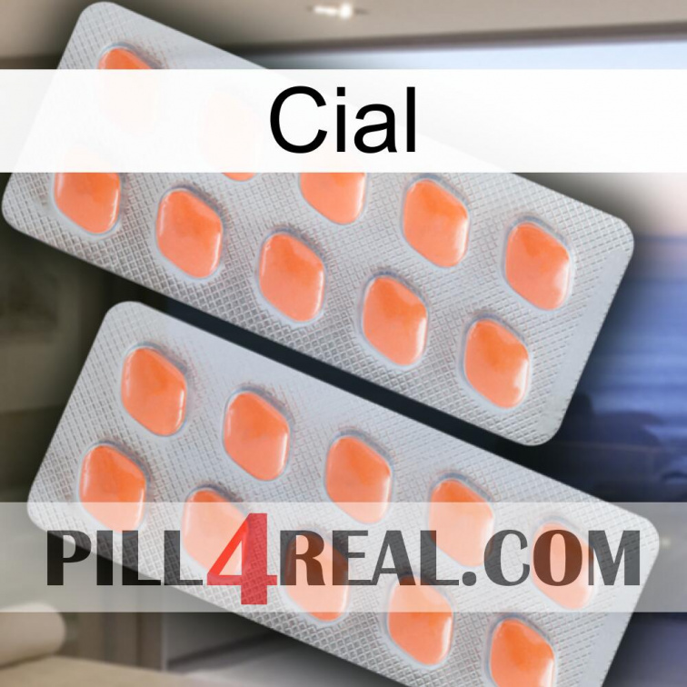 Cial 27